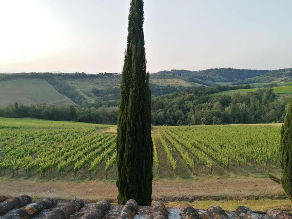 Villa Niccoli Castelfiorentino Exterior foto